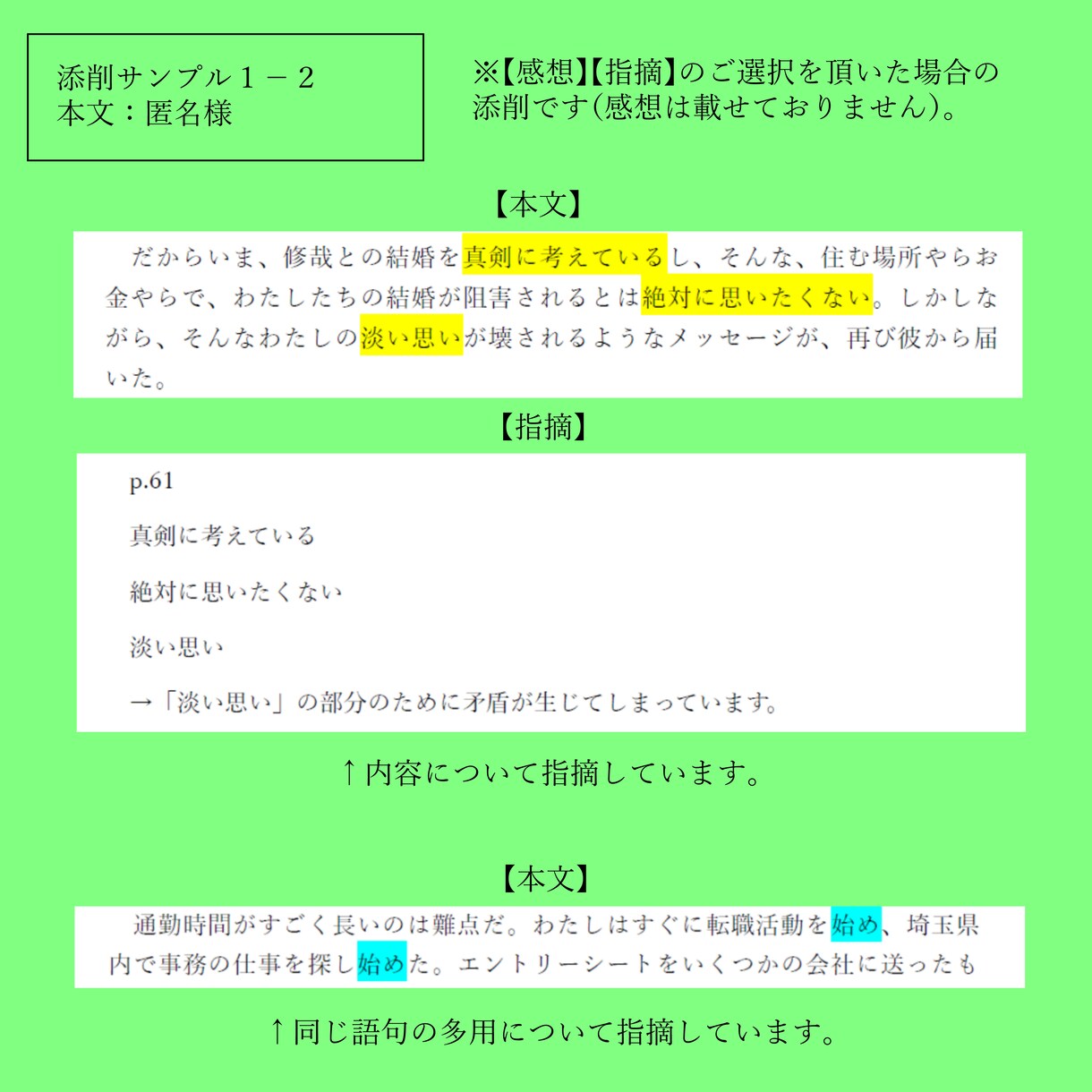 あなたの一次創作小説を、人間の目で率直に批評します プロの編集者に頼むのは敷居が高いけれど、真剣な講評が欲しい方 イメージ3