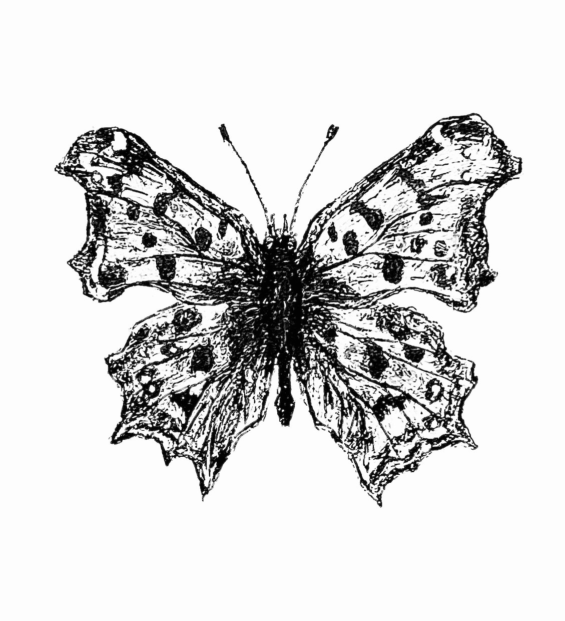 部屋に飾りたくなるような動物画を描きます ペットの似顔絵やあらゆる生き物の絵の作成依頼を承ります。 イメージ8