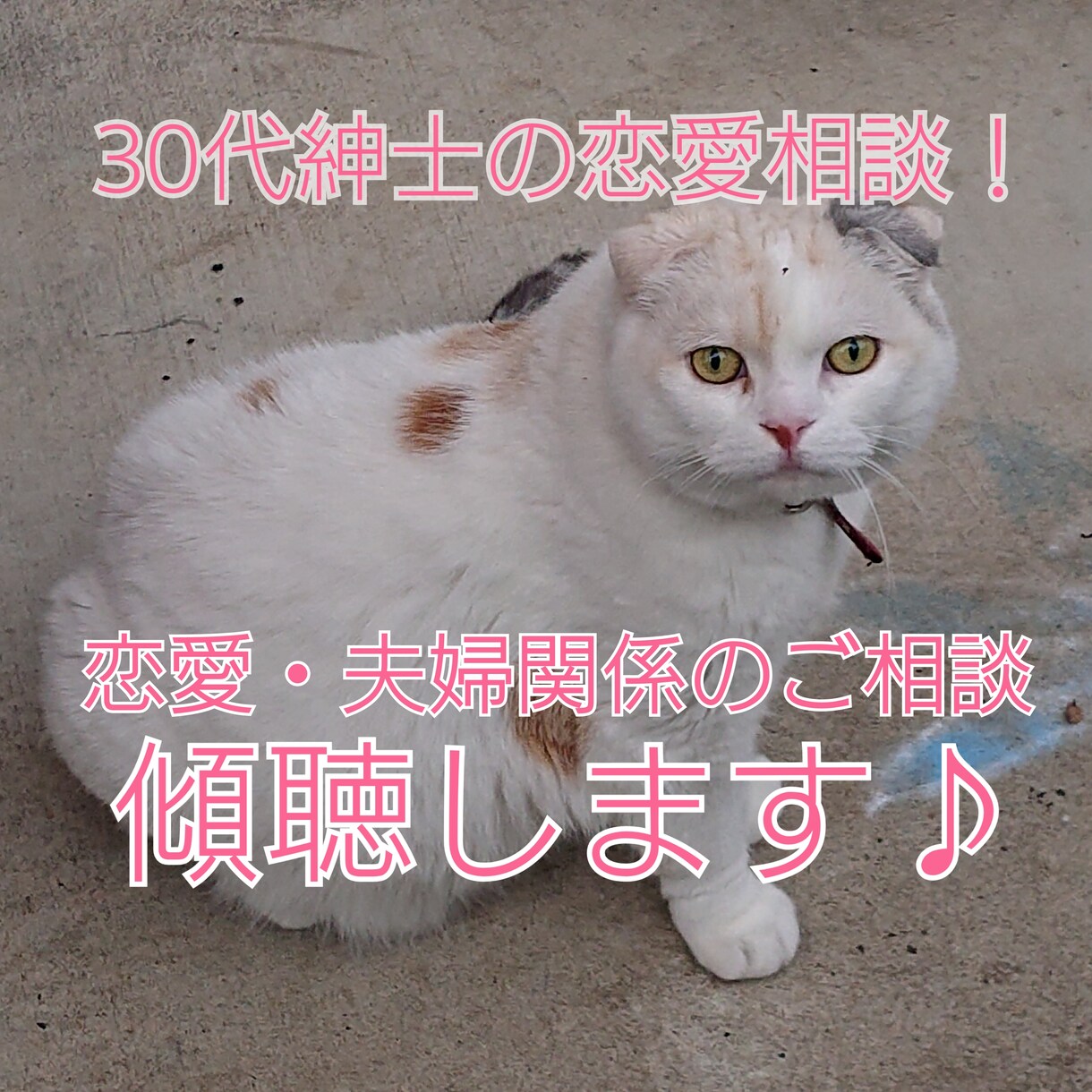 30代後半の紳士が、恋愛・夫婦関係のお話聞きます 現役相談員が、あなたの恋愛・愛情相談に耳を傾けます！ イメージ1