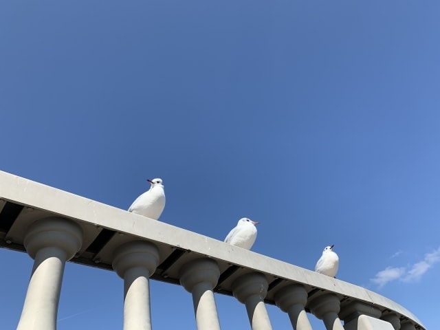 YES/NO どっちがいい？✿【１回２問】占います 複数択から選択も。背中を押してほしい方へ✿ イメージ4