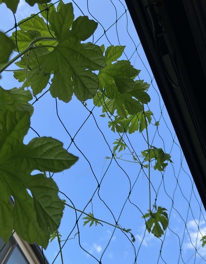 メッセージでの話し相手になります 電話じゃなくても大丈夫！気軽にどうぞ♪ イメージ1