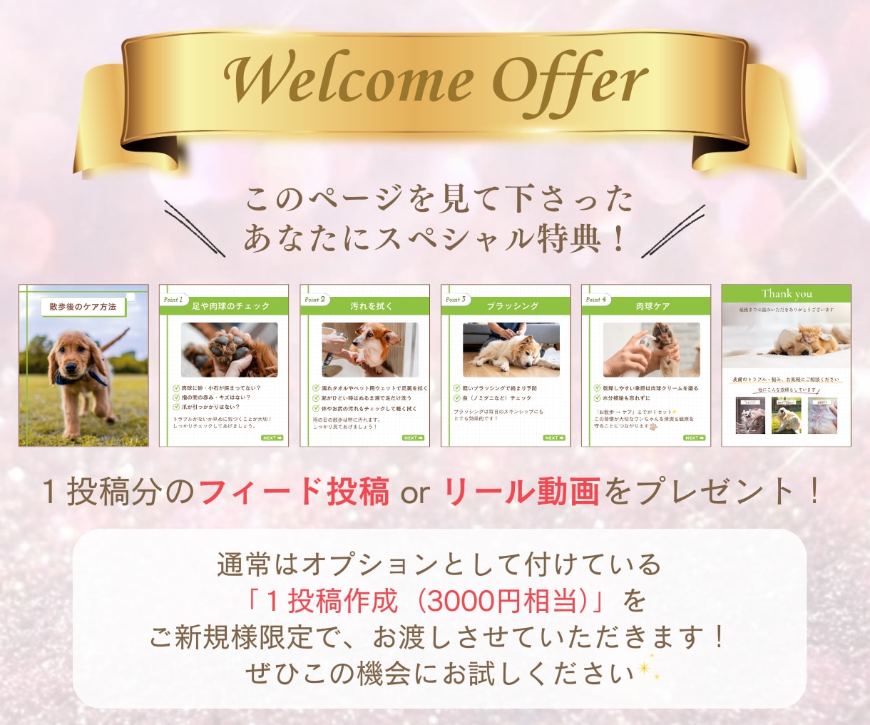 インスタを整え集客につながるアカウントに仕上げます 初めてでも安心の徹底サポート！名刺代わりになるインスタへ イメージ10