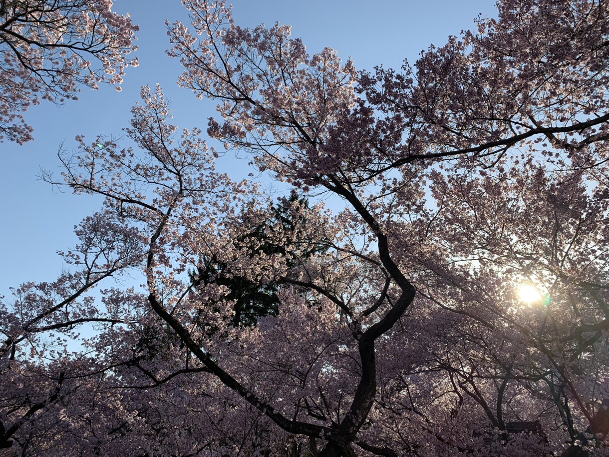 子育ての悩み、困っていること聞きます！解決します 子どもとの関わり方、伝え方、成長などなど、、話しませんか？ イメージ1
