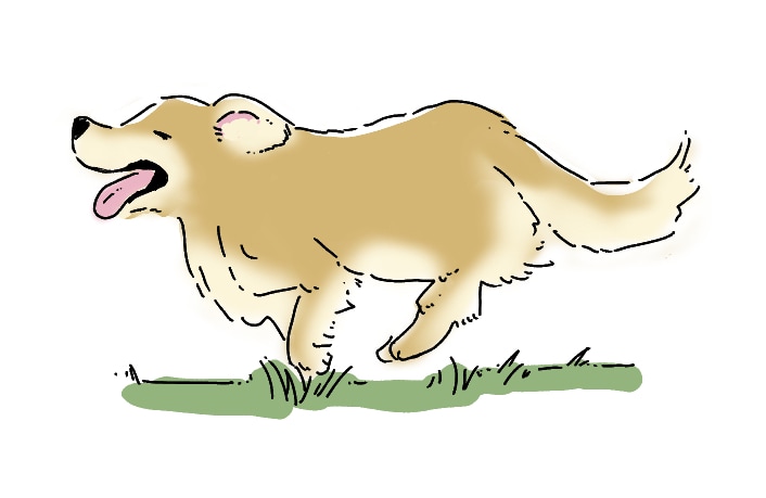 シンプルでやさしいイラストを描きます 挿絵やWebなど…シーンに合わせたイラストを描きます イメージ1