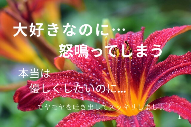 介護のモヤモヤ、聴きます イライラ、罪悪感...どんな想いもそのままで大丈夫です イメージ1