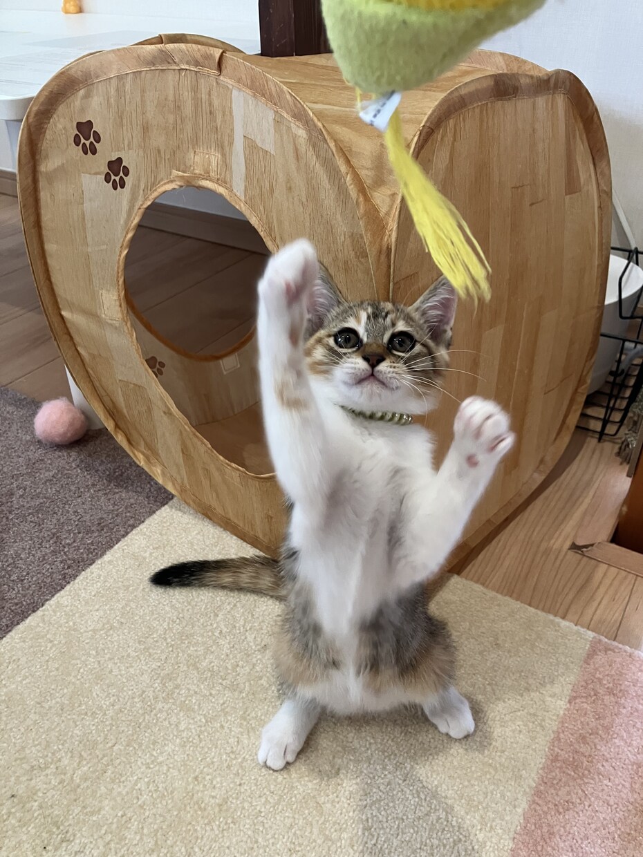 制限なし！なんでも相談乗ります 愚痴や話し相手になって欲しいなど無制限で相談に乗ります^ ^ イメージ1
