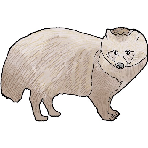 イメージのようなテイストのイラストを描きます リアリティがありながら、可愛らしさのあるイラストが得意です。 イメージ5