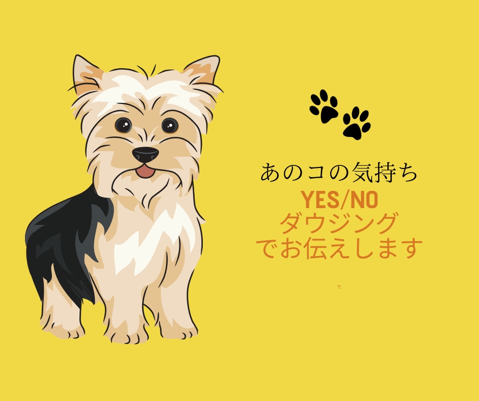 ペットの想いを ペンデュラムで魂にアクセスします 光の導き ✨星の記憶から声をお届け♡愛しいあのコからの贈り物 イメージ8