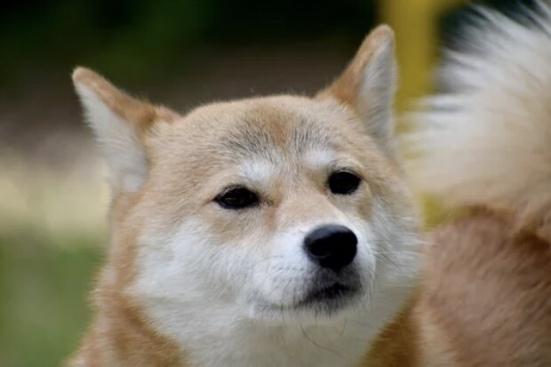 毎日ツラいと感じている方…私が寄り添い癒します あなたはひとりではありません！心のもやもや吐き出しませんか？ イメージ8