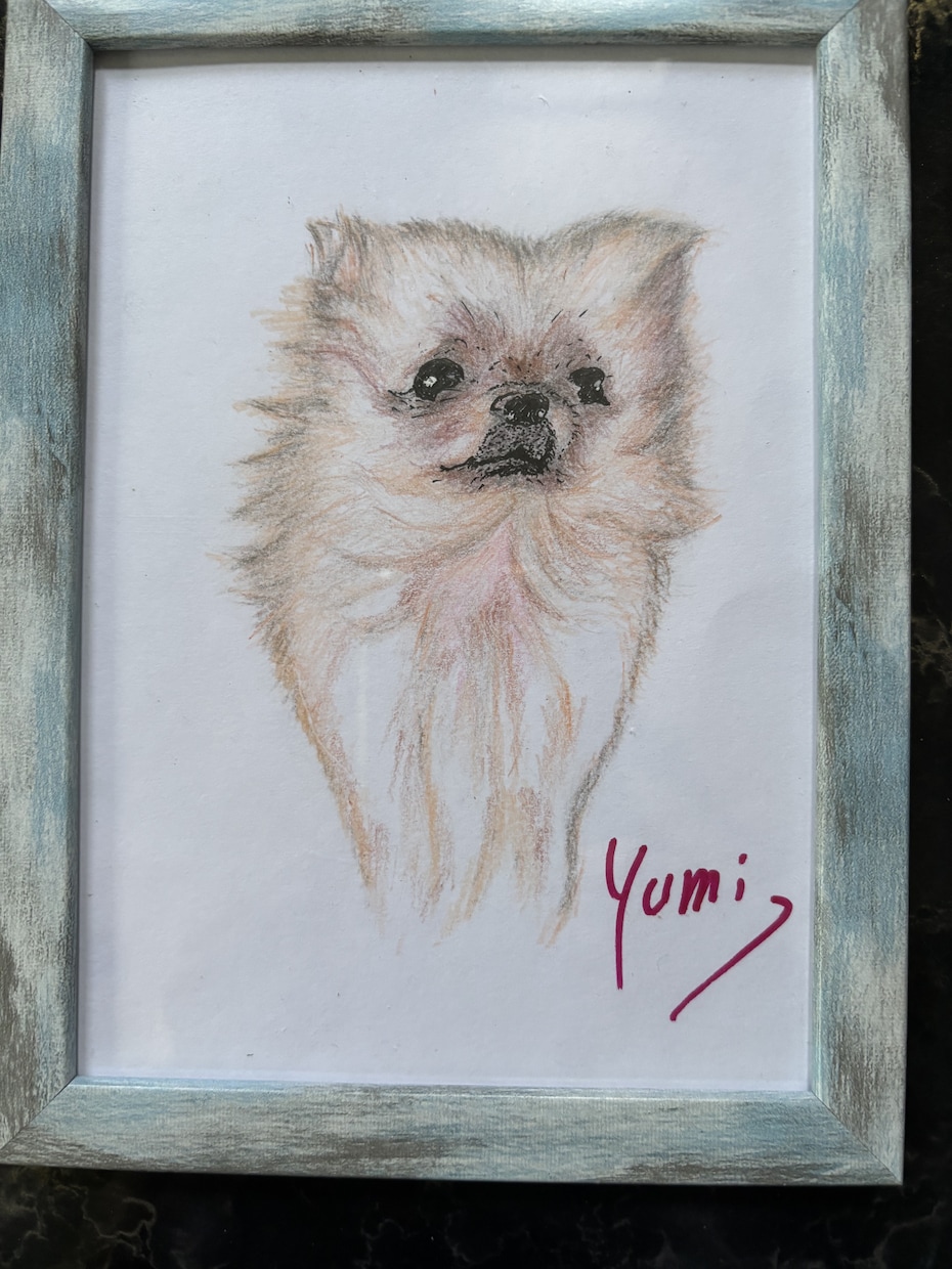 うちの子、お空ぐみの子、を可愛く描きます 可愛くフリーハンド、色鉛筆等でポストサイズからA4判サイズ イメージ6