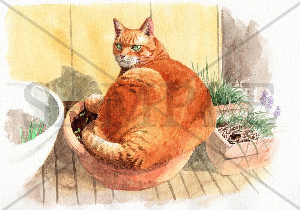 画質の良くない写真からでもペット肖像画描きます 昔一緒に暮らしたあの子の思い出を色鮮やかな絵に イメージ9