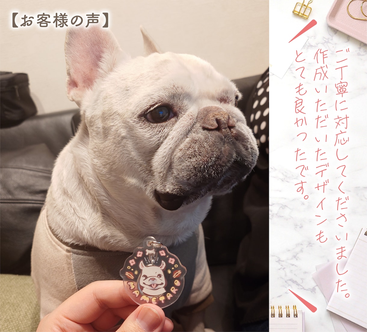 ペットの写真を可愛いロゴ風イラストにします SNSアイコンにオススメ！更にアクリルキーホルダーもお届け！ イメージ10