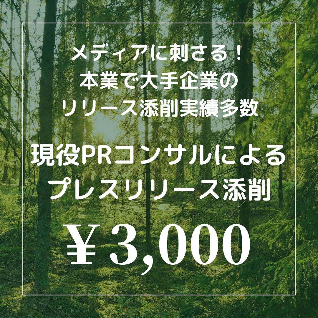 実績多数のPRコンサルがプレスリリース添削します メディアに刺さる！本業で大手企業のリリース添削実績多数 イメージ1