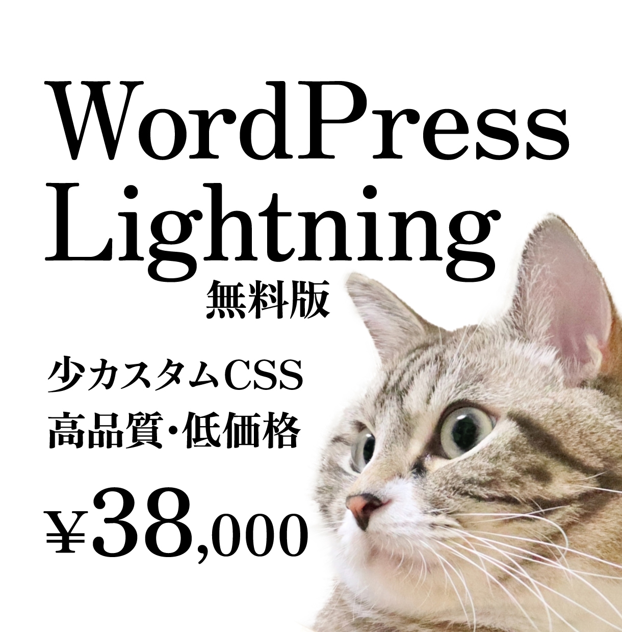 WordPress Lightning 制作します デザイン歴10年のデザイナーが、高品質・低価格を実現します。 イメージ1