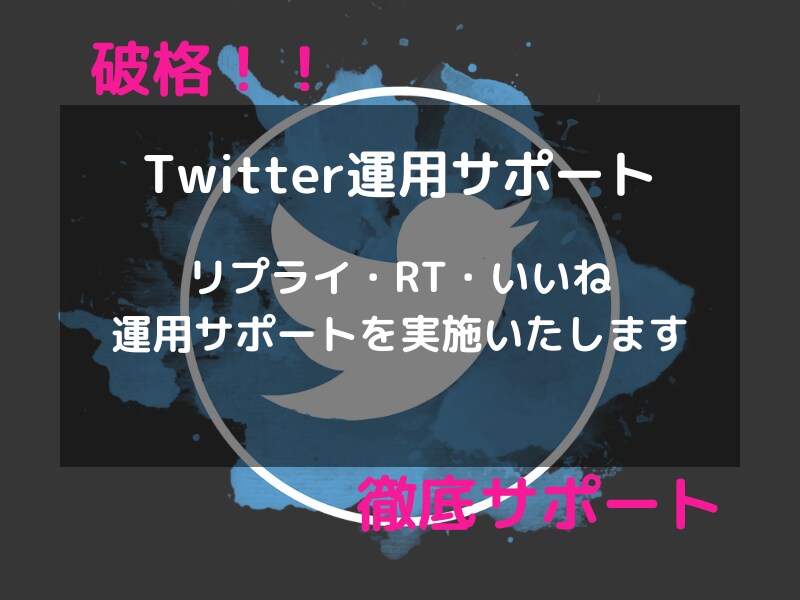 Twitter運用補助！認知拡大をお助けします 効果的なサポートで日本人アクティブフォロワーを獲得します イメージ1
