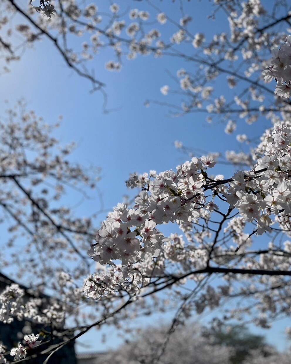 心のお悩み、何でも聴きます 愚痴や不満、寂しさや不安、聴かせてください。 イメージ1