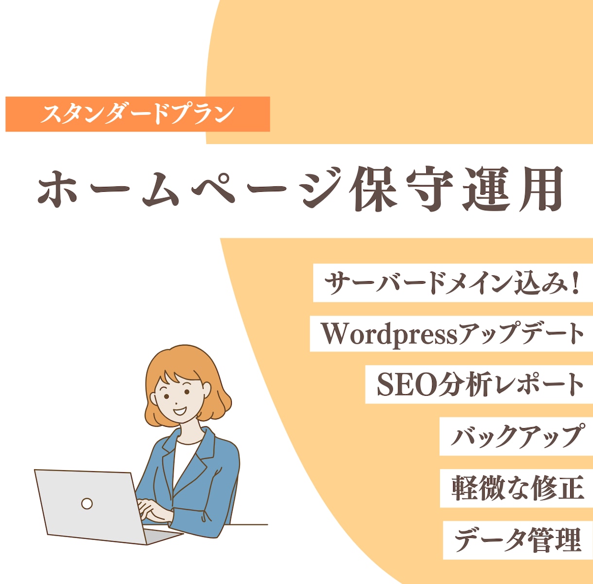 充実な【スタンダード】12カ月分HP保守運用します サーバードメイン込みでお得！サイト管理はお任せください！ イメージ1