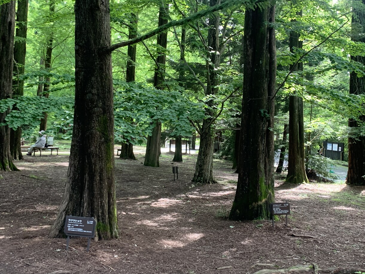 子育て移住田舎暮らしを考えている方へお悩み聴きます 田舎での子育ての本音、地方移住の疑問の“リアル”を答えます イメージ3