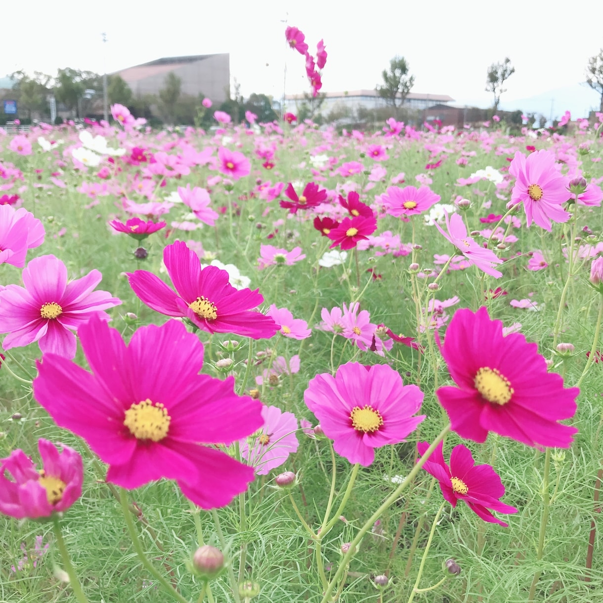 お話相手になります 今日も1日お疲れ様です♪今日あった事を聞かせてください☺️ イメージ1
