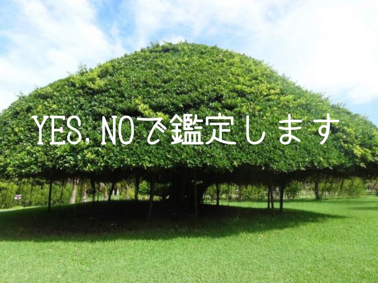 YES,NOでお答えします あなたの魂にアクセスする「チャネリング」で鑑定します イメージ1