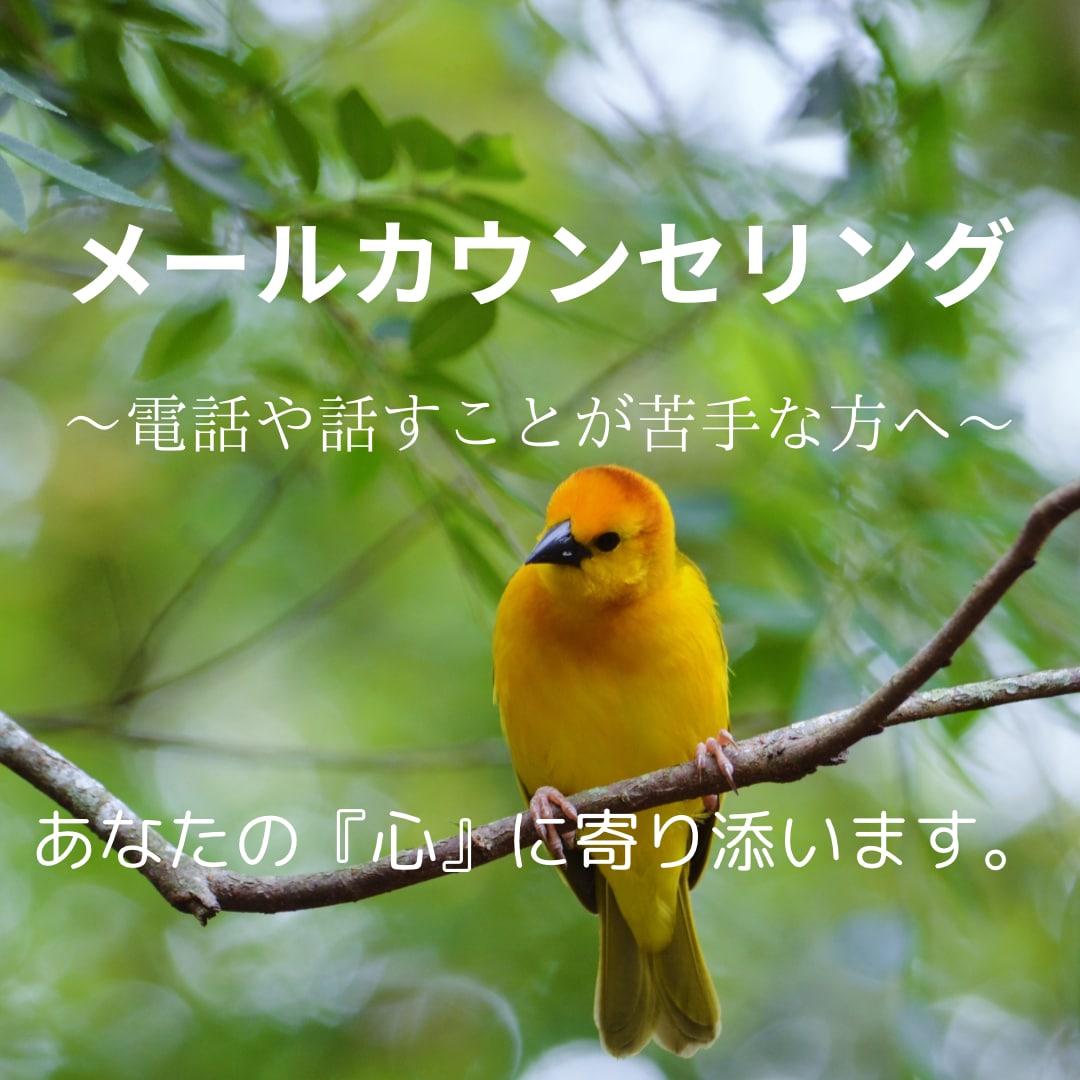 メールにて『あなたの心』に寄り添います 「寂しい」「辛い」などの気持ちを吐き出してみませんか？ イメージ1