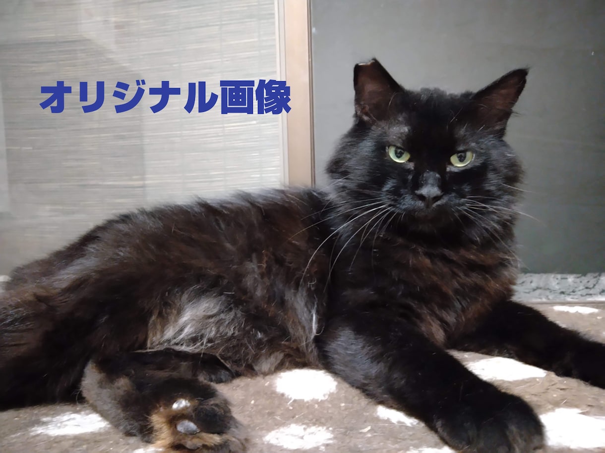 あなたのペットをデッサンします 最愛のワンちゃんネコちゃんを鉛筆デッサンします。 イメージ2