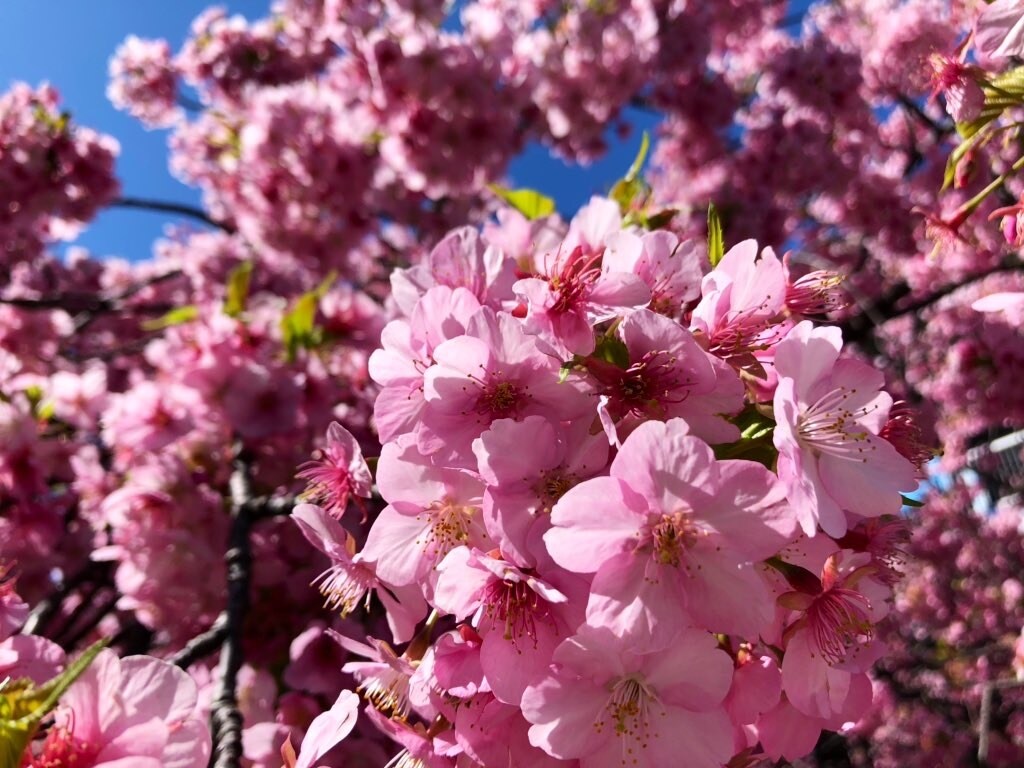 親身になってお聞きします 思う存分、何でもお話してください(^-^) イメージ1