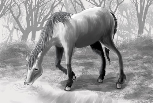 動物のアイコン・イラスト制作します 可愛い系、リアル系、モノクロ、カラー自由に選べます！ イメージ10