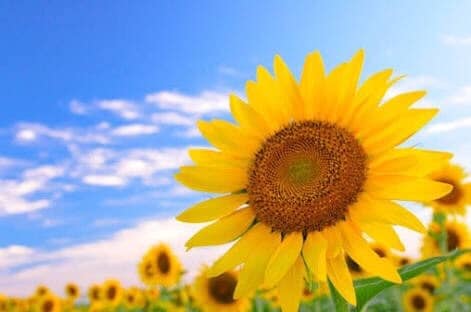 あなたの話とことん聞きます とにかく話を聞いて欲しい方にオススメです イメージ1