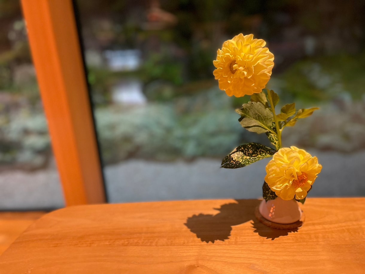 モヤモヤをスッキリ!歯科のお悩み聞きます 歯科のお仕事に携わるすべての人を元気に!! イメージ4