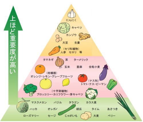 免疫力アップが重要！今日からできること教えます 日頃から免疫力を高めて、自分の体は自分で守ろう!! イメージ1