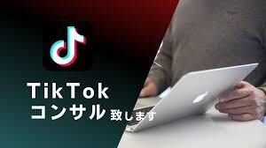 TikTokの2択ゲーム動画の作り方教えます TikTokフォロワー合計10万越えの僕が簡単に教えます！ イメージ2
