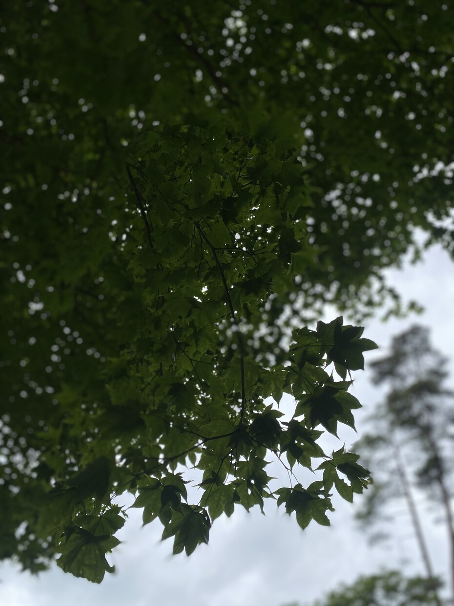今の自分のすすむべき道とは?占います 『アナタ』を知ることが全てのはじまり。 イメージ7