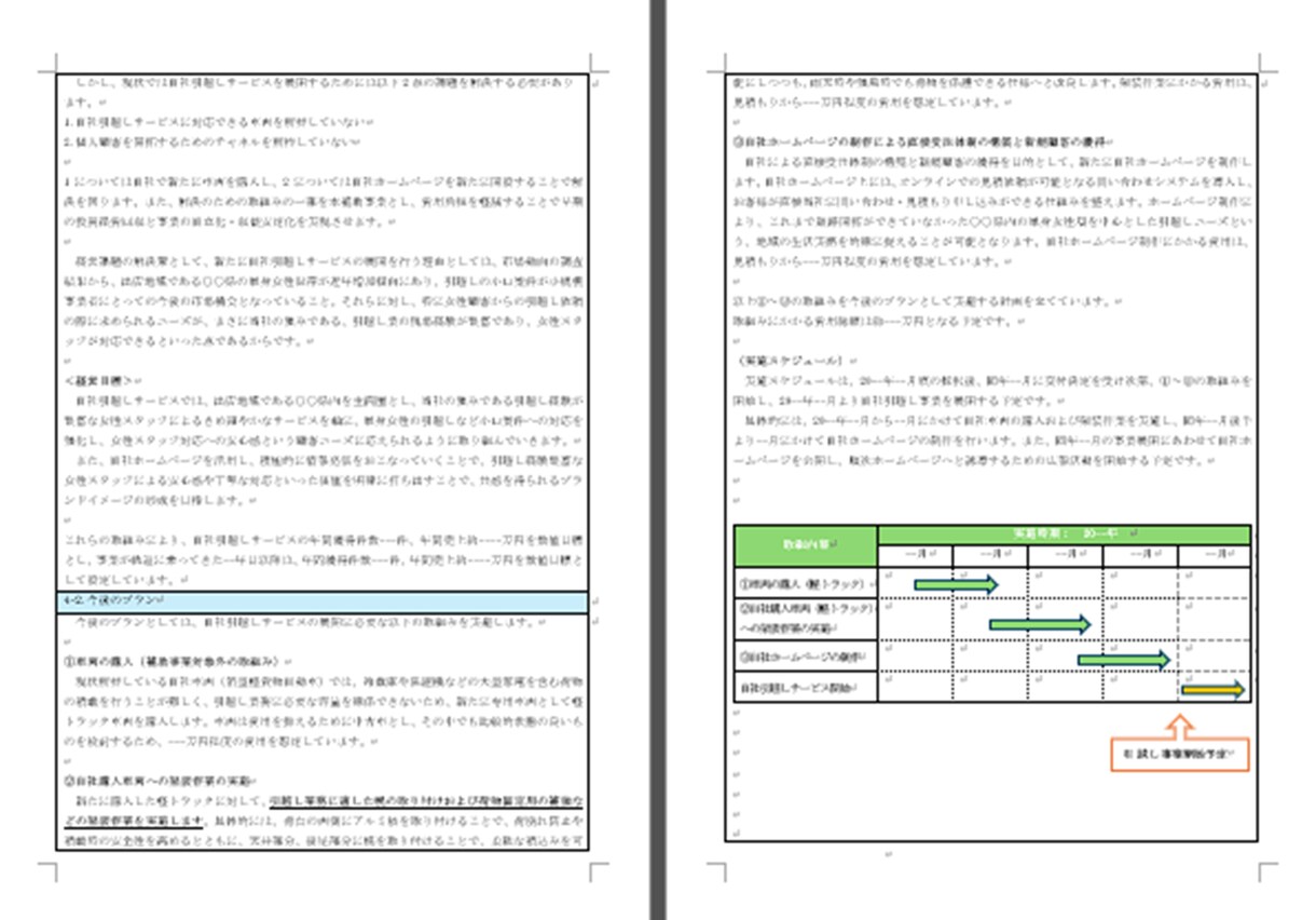 軽貨物運送業★持続化補助金採択書類をお譲りします 採択済みの事業計画書を【テンプレート】としても利用できます！ イメージ4