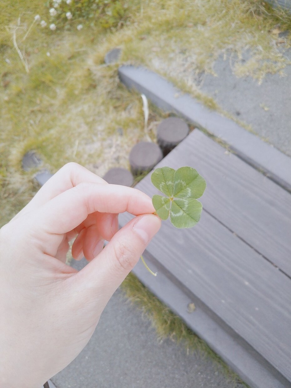 メンタルカウンセリングします 何でもお話してください。心が軽くなるまで話してください。 イメージ1