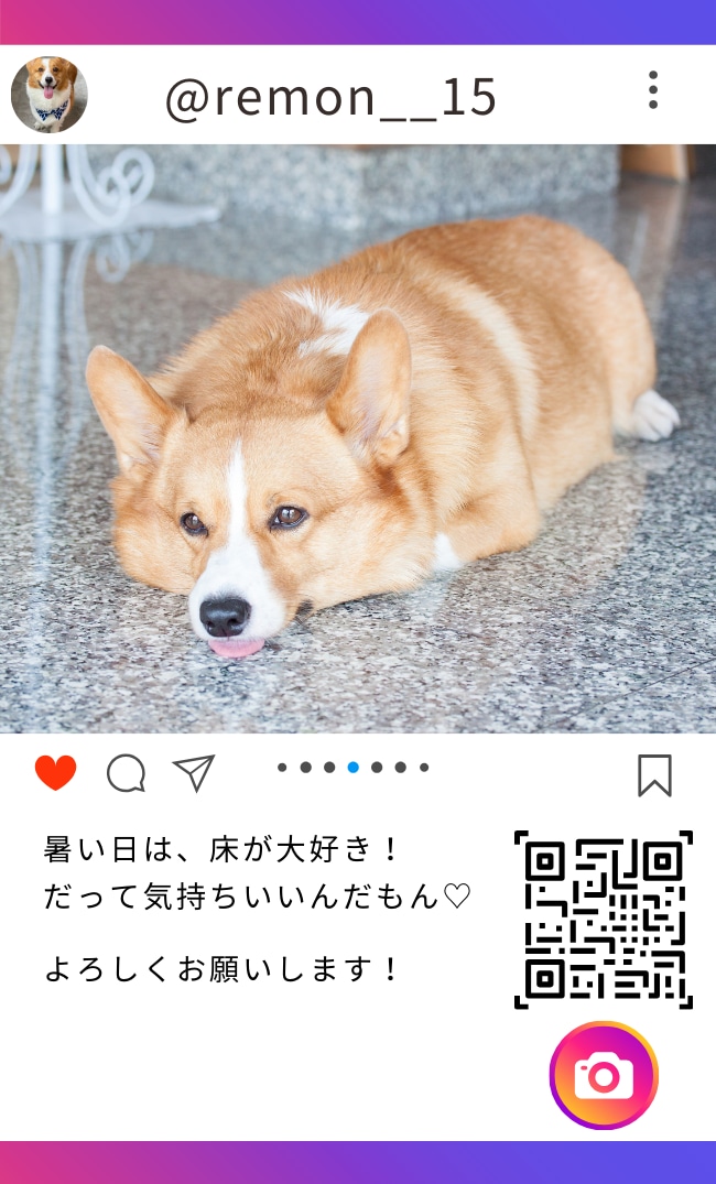 Instagram風デザインうちの子名刺を作ります ＋2000円で100枚(送料無料) イメージ4