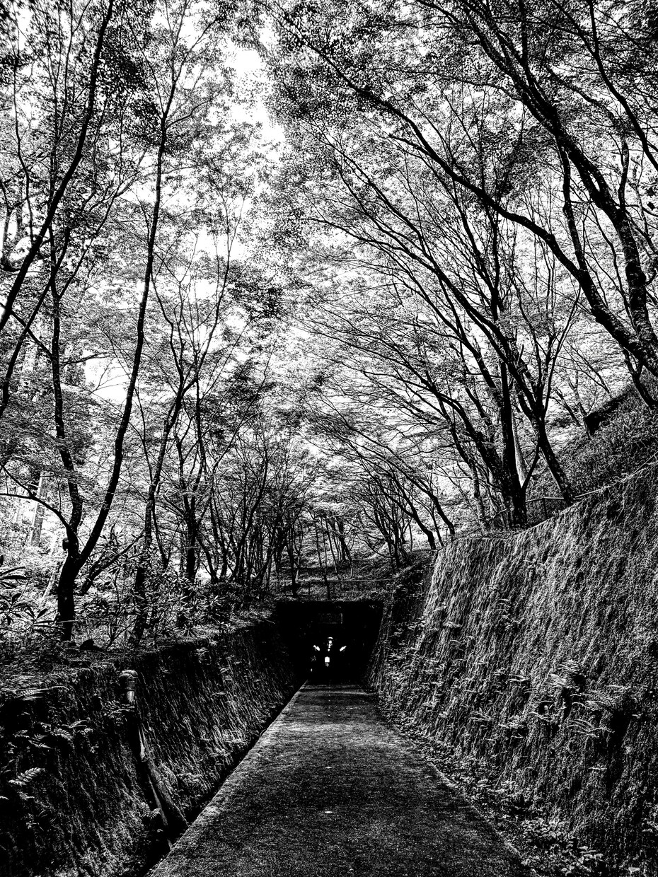 写真を加工し、雰囲気を変えます 写真の雰囲気をガラッと変える!短時間で提供! イメージ3