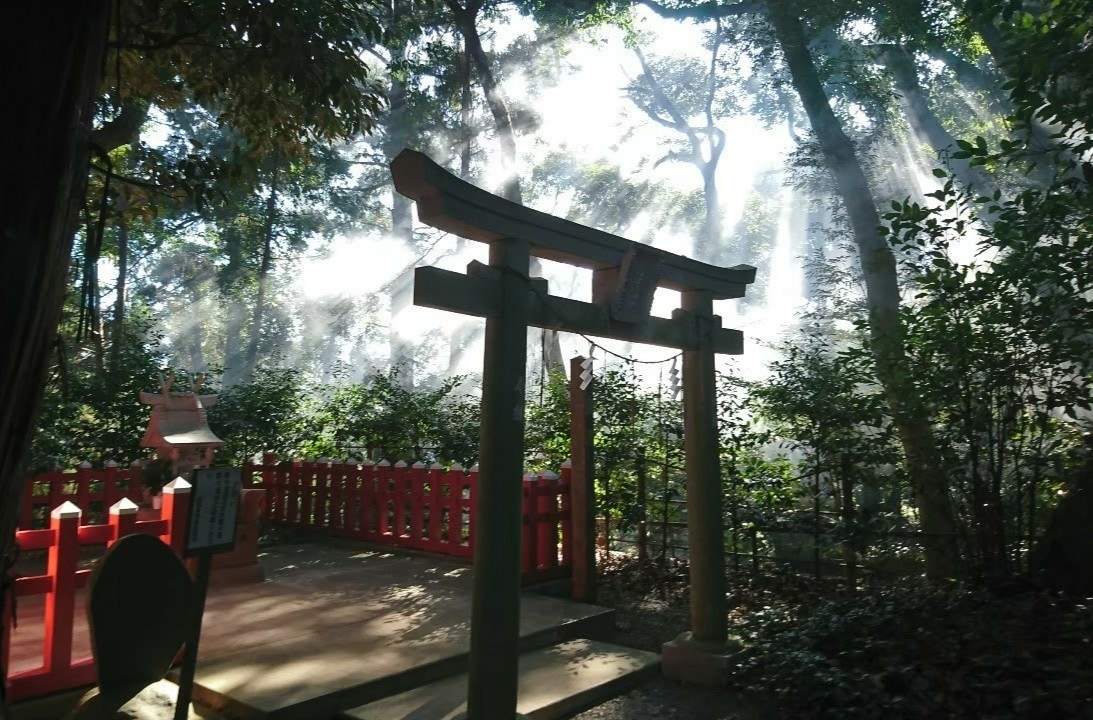 ツインレイ　恋愛・不倫・複雑恋愛・復縁占います ツインレイ☯️気になる方！是非、占います✨ イメージ3