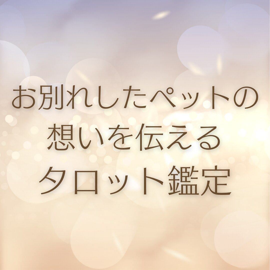星になった大切なペットの今をリーディングします ペットとあなたのお互いの想いを届け前に進めるようになります イメージ1