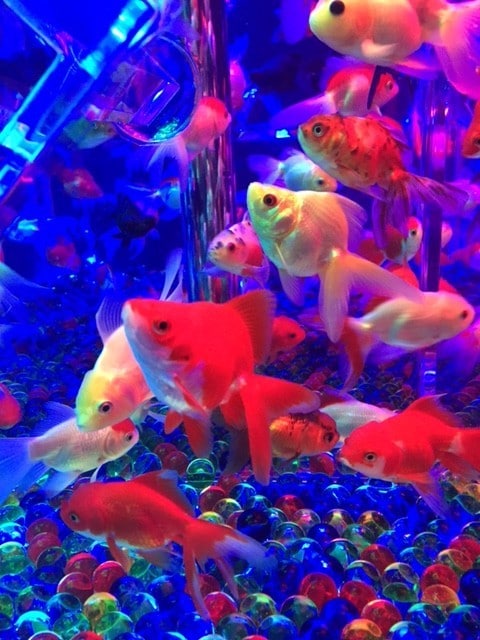 潜在意識下にある願望を現実化致します ※潜在意識下にある深い部分の願望を現実化させて行きます イメージ1