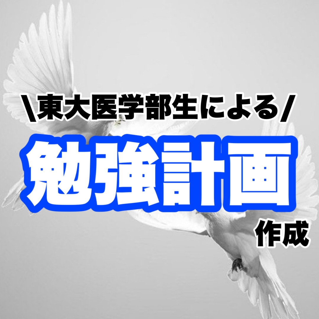 東大医学部生が勉強計画作成、進捗管理します 勉強にお困りの中高生ならどなたでも！ イメージ1
