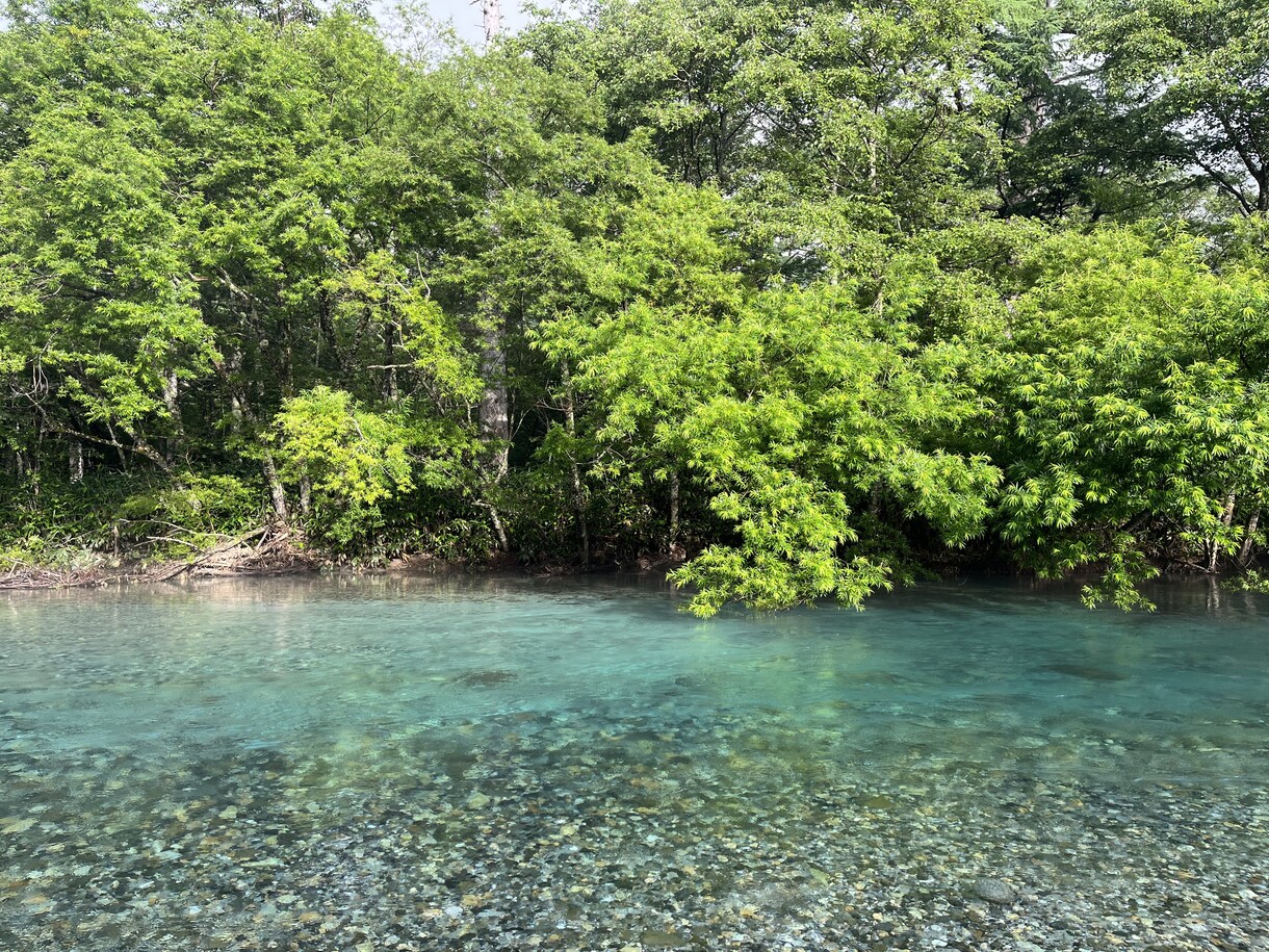 自分自身の特性に気づくお手伝いをします 診断でも、病名をつけるでもなく、あなた自身に向き合います。 イメージ1