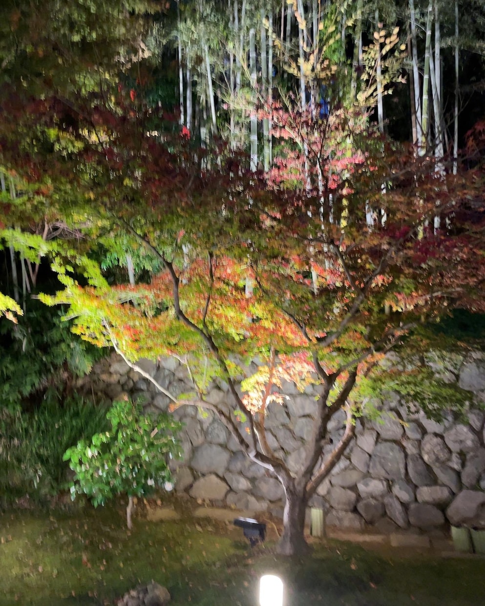 アナタの心のモヤモヤ一緒に解消します アナタが抱える心のモヤモヤの解消を手伝わせてくれませんか？ イメージ1