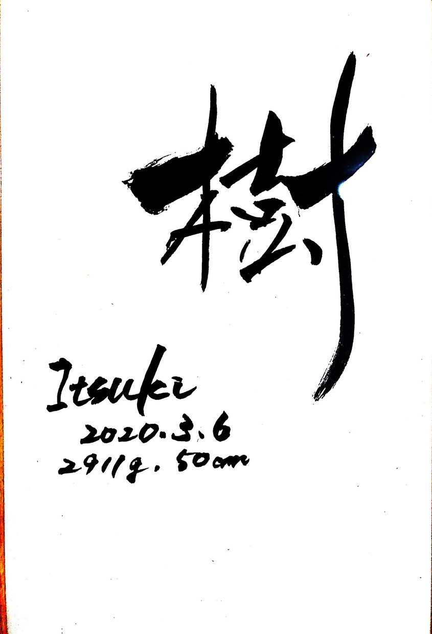 商用OK！筆文字（看板文字、表札、命名書）書きます 書道師範免許保有★個人商用なんでもOK！個性的な創作書道！ イメージ4