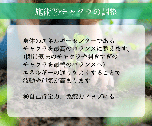 人生を困難にする原因のインナーチャイルドを癒します 幼少期のトラウマや毒親克服、前進を妨げる過去を解消 イメージ5