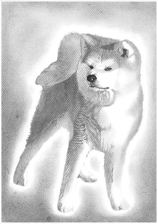 猫、犬等ペットの似顔絵をモノクロでリアルに描きます 鉛筆画、パステルなどで白黒の小動物を写真のように描きます イメージ4
