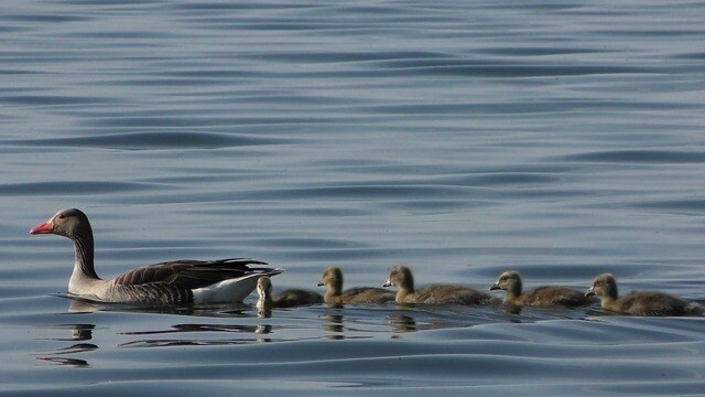 なんか虚無感、空っぽな心の声を聞きます 自分の気持ちもどうしたらいいかも分からない。全部話そう。 イメージ7