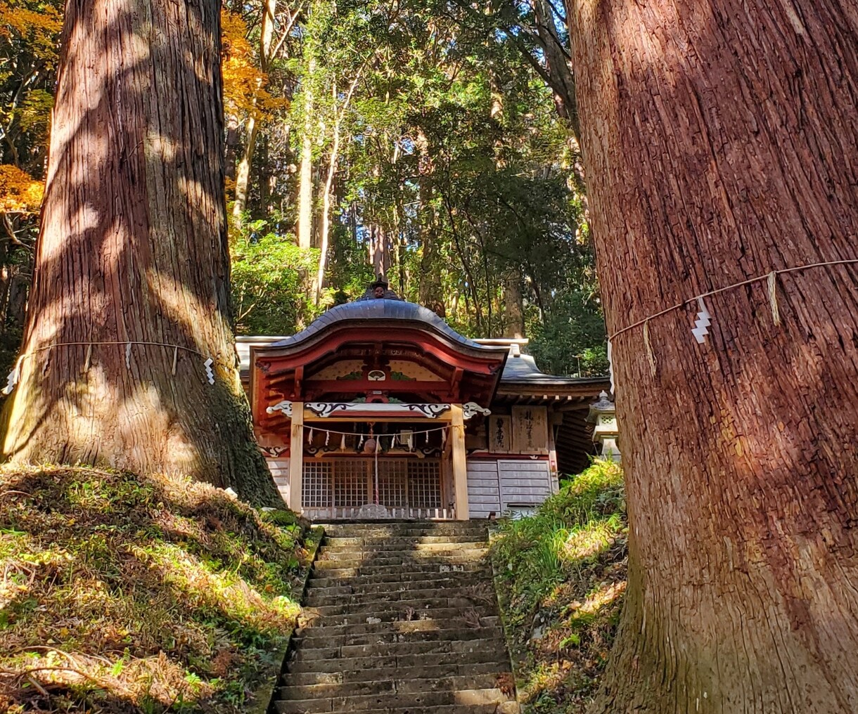 スターシード悩み相談⭐ウォークインが答えます プロテクション♥️違和感・生きづらさ、孤独から癒します イメージ8
