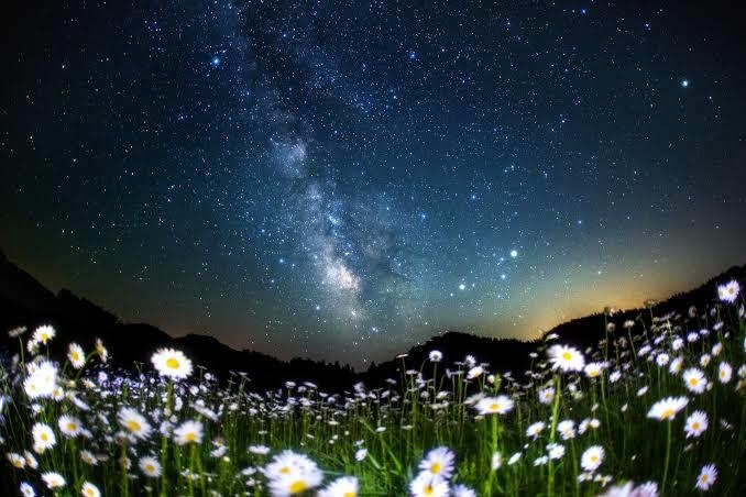 夢占い☆貴方が知らない心の声にフォーカスします 意識の外にある自分を知りたいあなたへ イメージ2