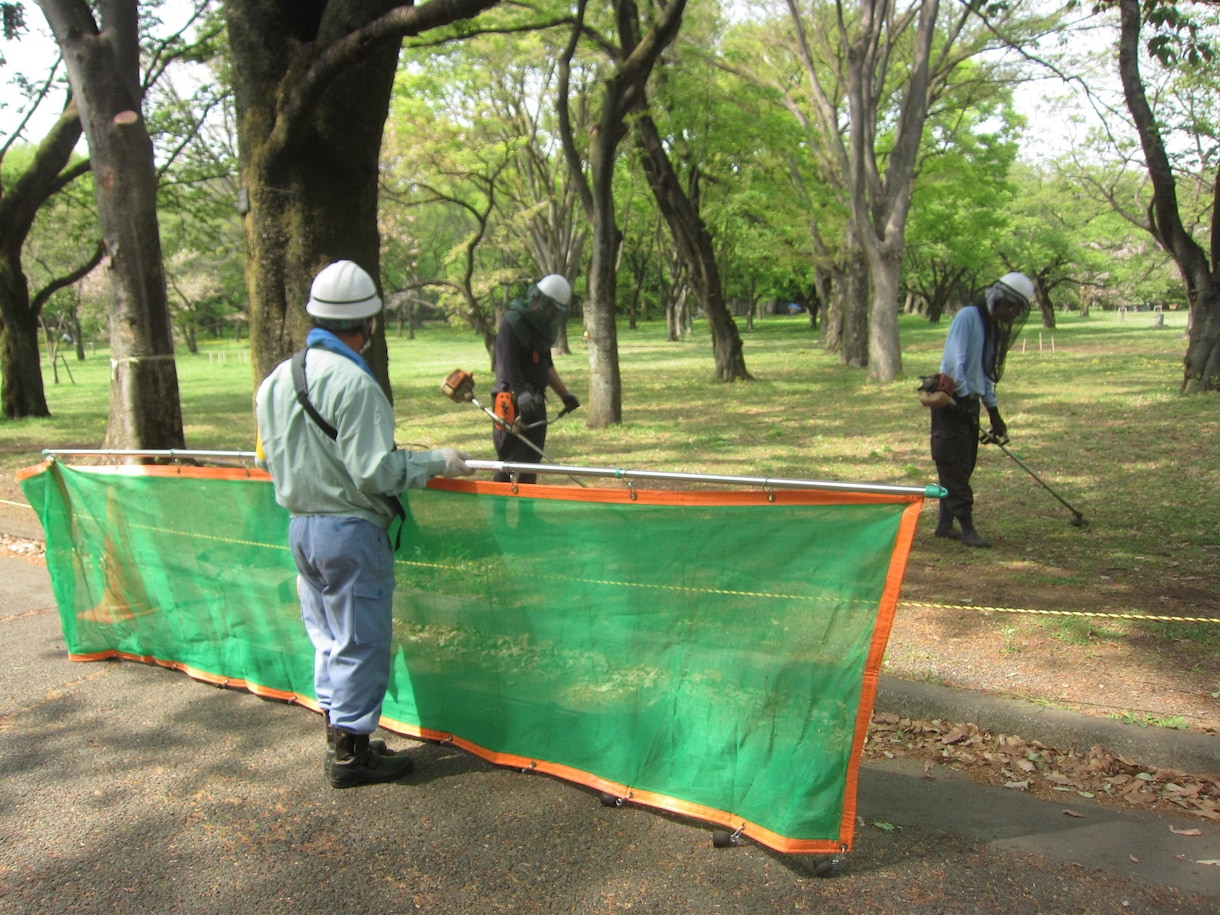 植木管理・剪定・病害虫駆除　造園関係ご相談受けます 会社設立50年の経験を活かしてアドバイスさせて頂きます！ イメージ5